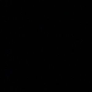 Meet your Posher, Camille